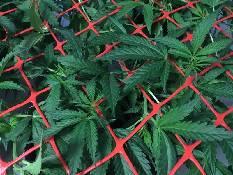 1514240F-0644-4F22-BEE3-6C7932D088F3