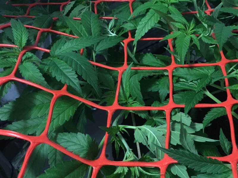 00E02A34-EBFF-4BD0-AAEA-94E9D403187B