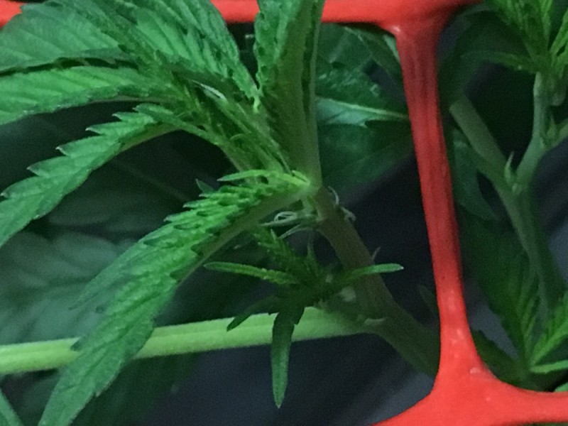 08191690-1EAD-430E-9C37-60087BF20B96