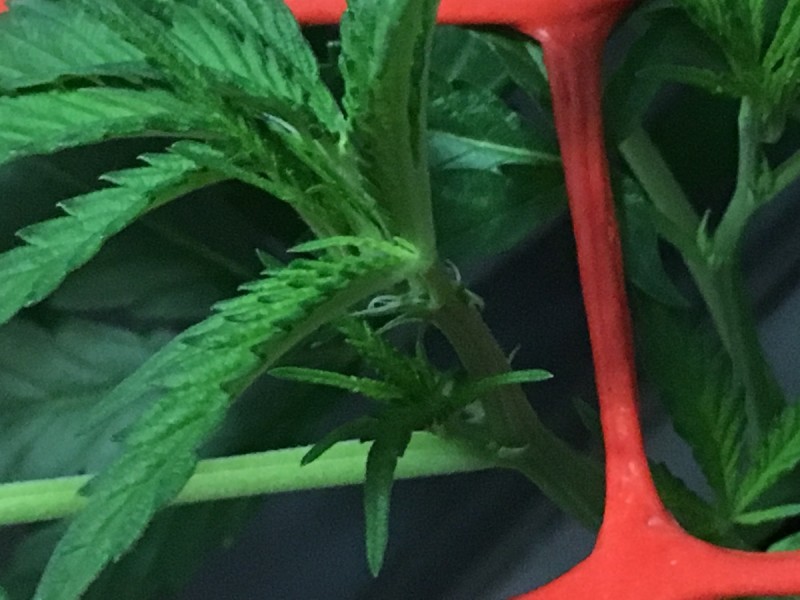 0958E2BA-B372-4471-8A72-9D321D5EB1EA