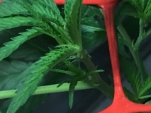 0958E2BA-B372-4471-8A72-9D321D5EB1EA