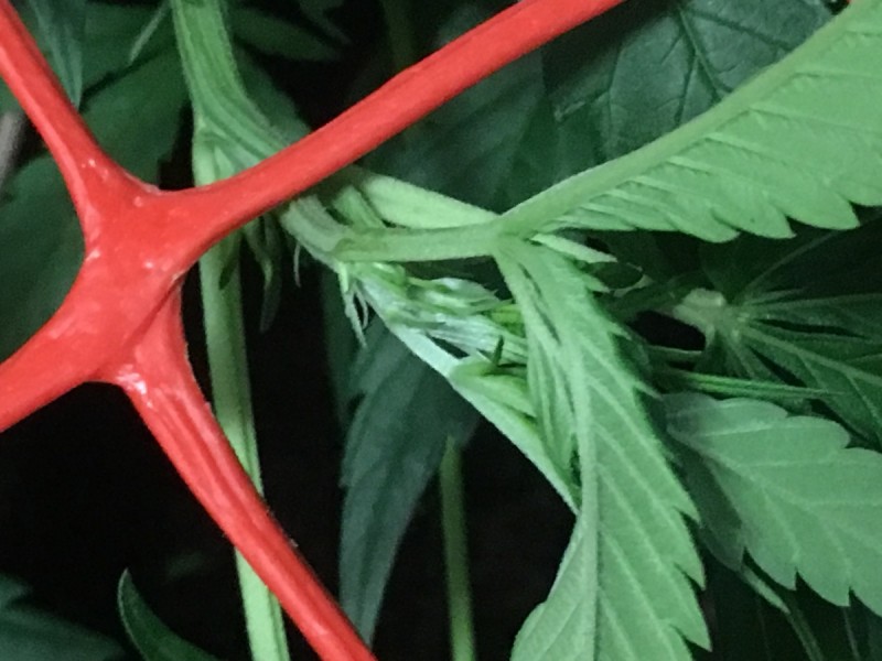 50B2905E-E569-4C48-84EA-3FCE209653A1