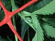 50B2905E-E569-4C48-84EA-3FCE209653A1