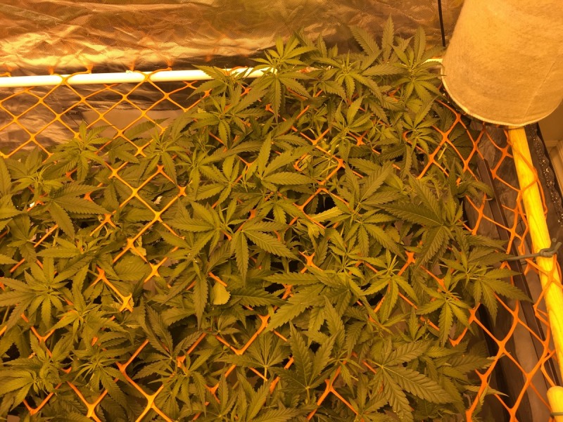 B96672BA-B3A6-4D60-B3B4-3D08AE7CBDA3