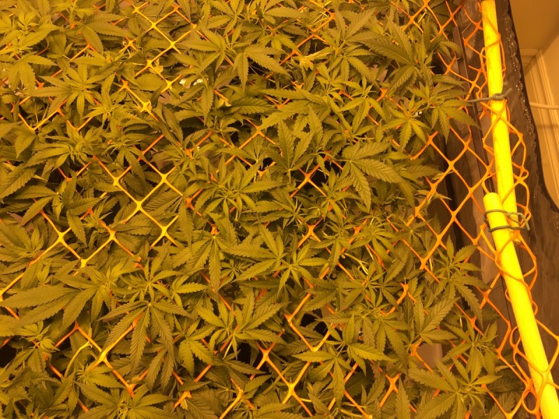 04931EEE-31A2-4656-AB8F-D233F72AD0E8