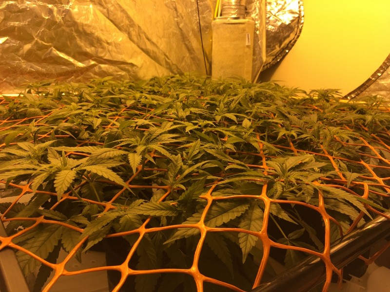 A230E15A-4EBF-4838-9405-767D869F14DD