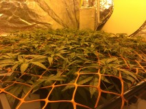 A230E15A-4EBF-4838-9405-767D869F14DD