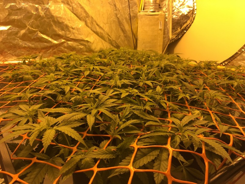 0C1DEBAD-647F-422B-B4F9-82DD113FD8E5