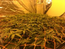 0C1DEBAD-647F-422B-B4F9-82DD113FD8E5