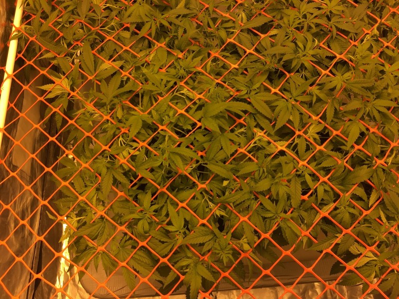 82DE1CD5-31C4-4160-945A-7D71101F0AAE