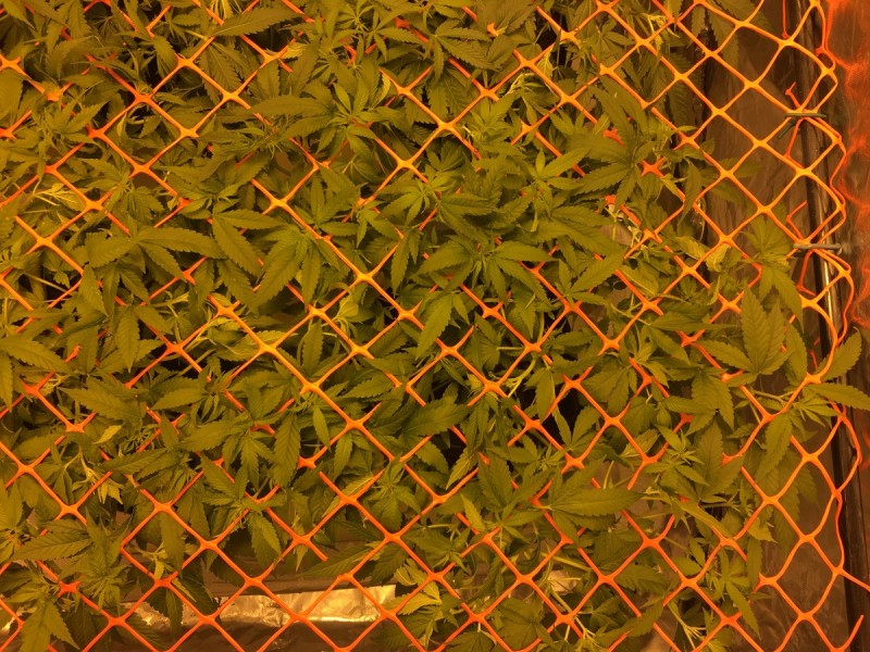 9C6FBCCE-E238-4FDA-8203-354278E01616