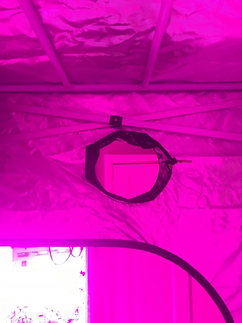 Green Qube Quick Qube 1.5m X 1.5M X 2.20m