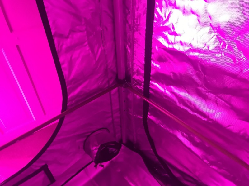 Green Qube Quick Qube 1.5m X 1.5M X 2.20m