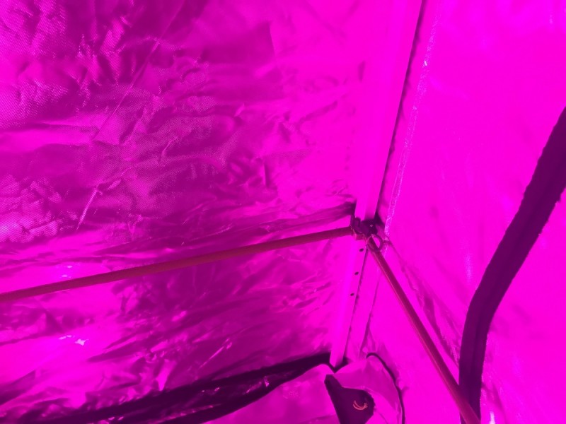 Green Qube Quick Qube 1.5m X 1.5M X 2.20m