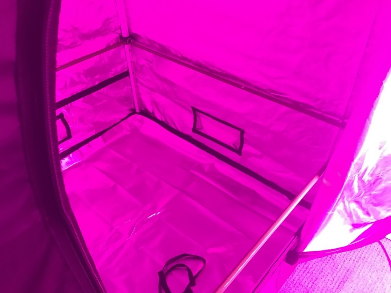 Green Qube Quick Qube 1.5m X 1.5M X 2.20m