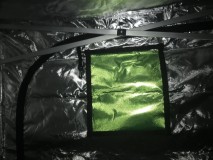 Green Qube Quick Qube 1.5m X 1.5M X 2.20m