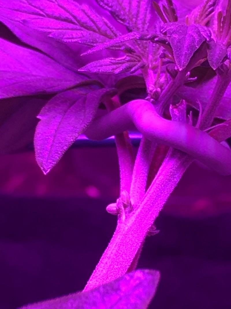 5B5156DB-A6EC-4183-827F-4ECE082C2C39