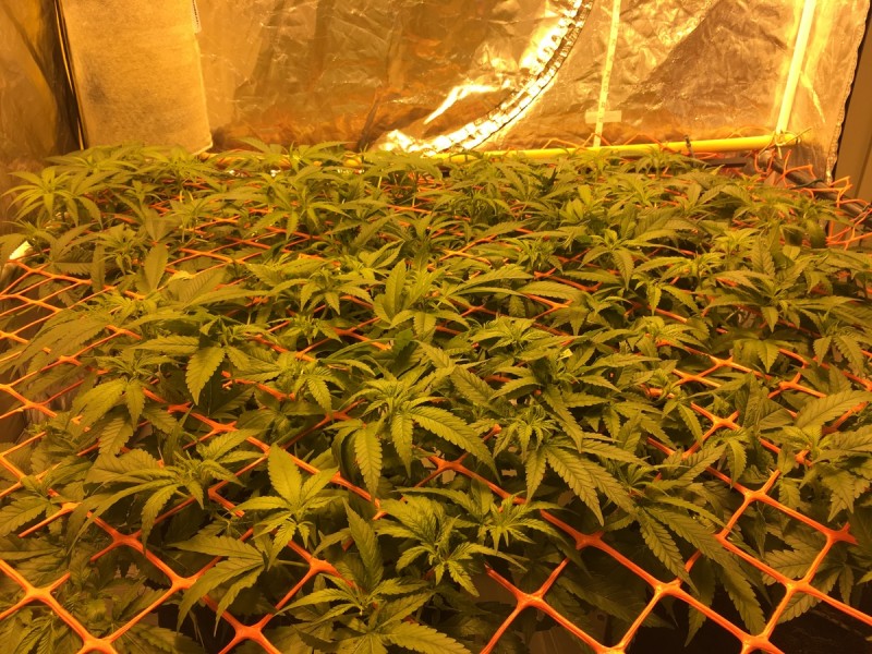 070ACCBC-0A67-483B-B181-A4580D6CBA1D