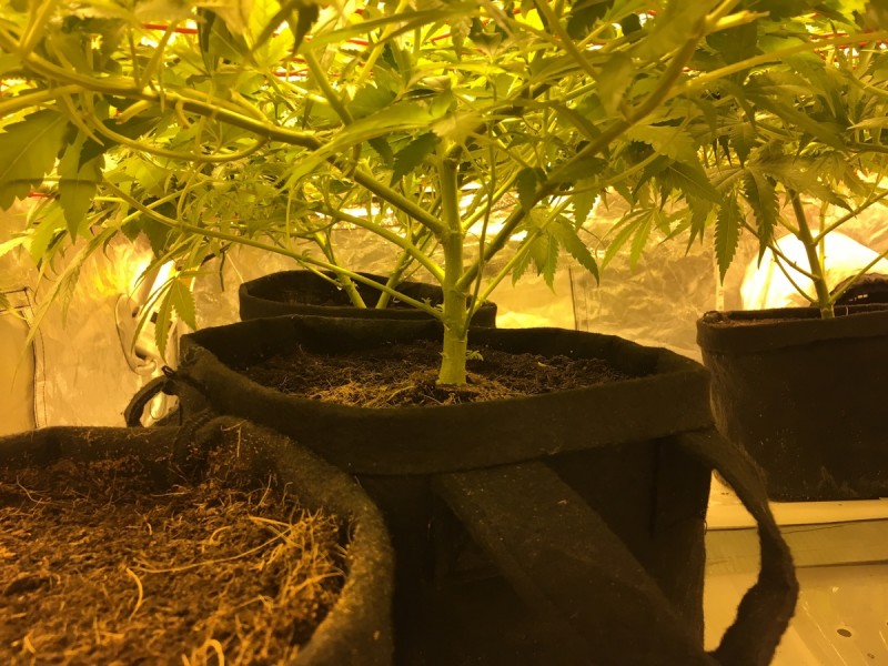 C8A270DC-993A-49E5-BD20-352659E97259