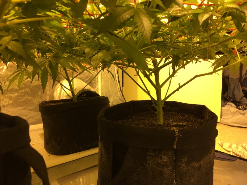 0DD6DC26-7514-438D-A5BC-046175CADEC9