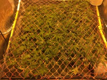 D0F3F112-19AC-4877-AD3C-A79B31C5E0FD