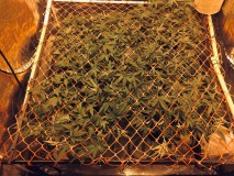 C1F7CFFB-14BF-47F2-9A57-95411654775A