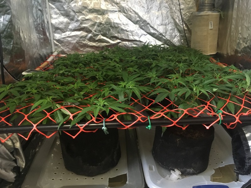 CBC40E06-4726-4964-8FBB-66B4F9CCCB24