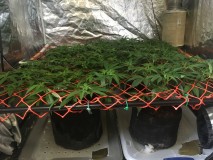 CBC40E06-4726-4964-8FBB-66B4F9CCCB24