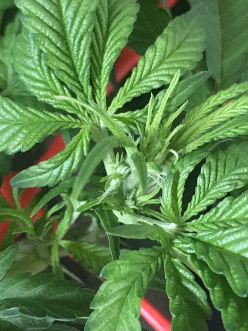 6AA63CEB-EA84-4717-835F-E24B657FB410