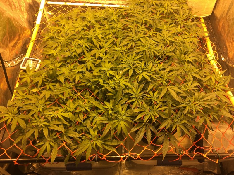 807DF5D2-1C61-4AF7-A58E-BDEA445A8014