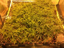 807DF5D2-1C61-4AF7-A58E-BDEA445A8014