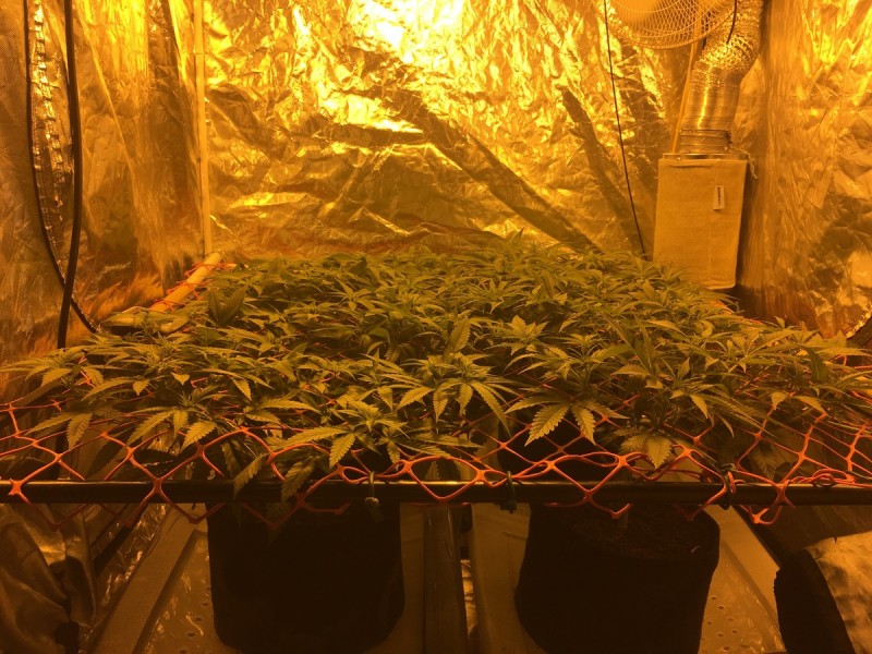 B51E83BC-7D1D-44EC-94F9-442DA196678E