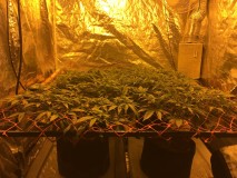 B51E83BC-7D1D-44EC-94F9-442DA196678E