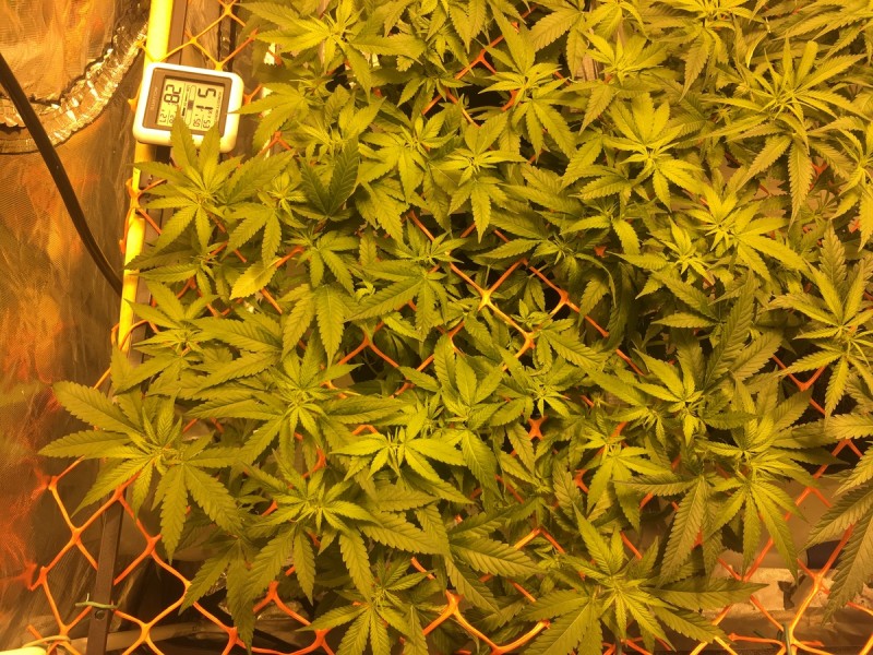 1762D177-6263-4C72-A188-62689FBFF89D