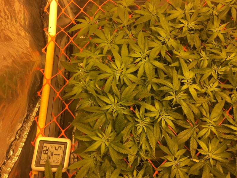 1074DD8A-B5C9-4A0F-9580-F46BDE69D63F