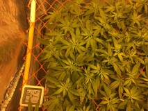 1074DD8A-B5C9-4A0F-9580-F46BDE69D63F