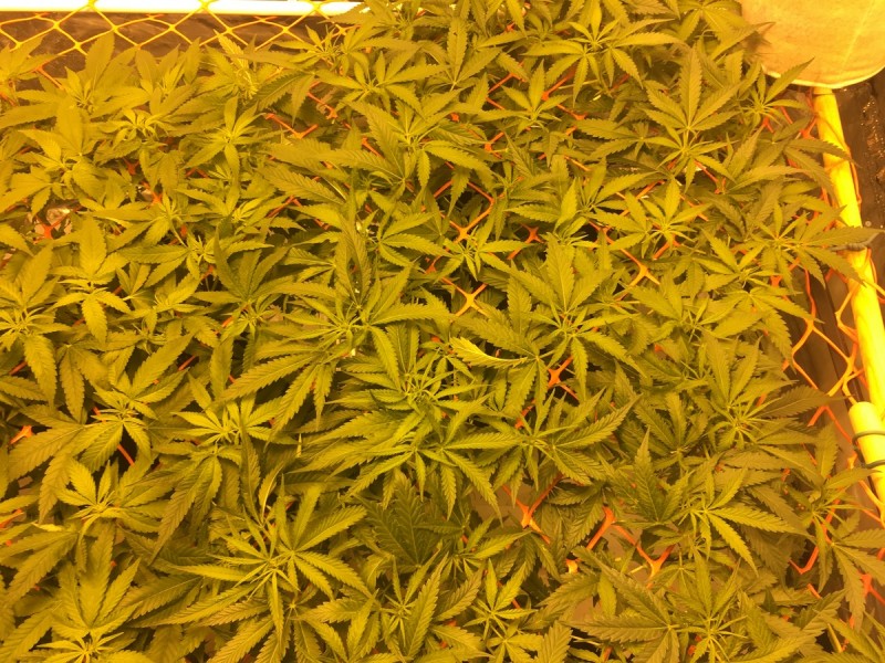 424E2E36-5B60-4341-A27E-3717BCF3BDCE