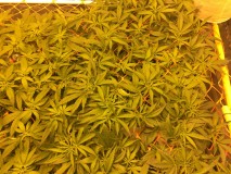 424E2E36-5B60-4341-A27E-3717BCF3BDCE