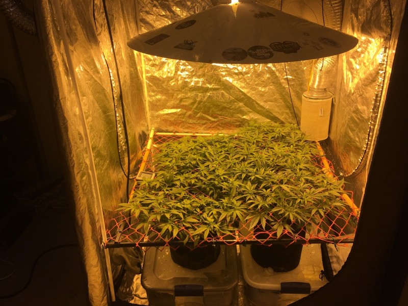 E04DCBDD-D1EC-43FE-9E0F-8874FB2BAA7A