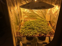 E04DCBDD-D1EC-43FE-9E0F-8874FB2BAA7A