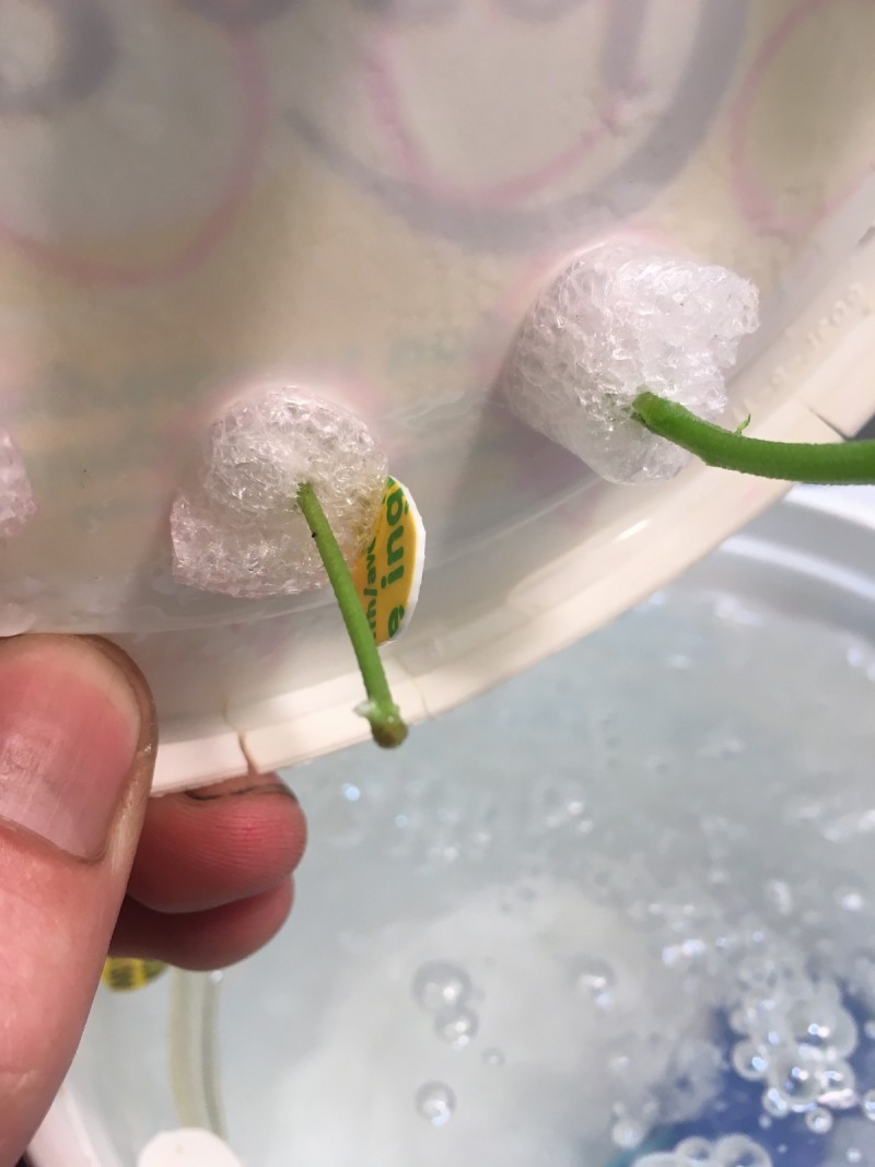 CEDD8386-9DF2-4B37-A7D7-57D1B7C9C426