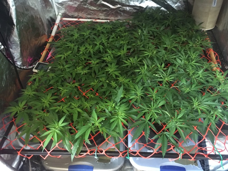 9B473451-44D2-44E9-A156-632B2C1FF569