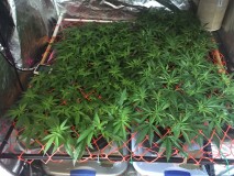 9B473451-44D2-44E9-A156-632B2C1FF569