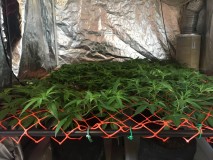 42FD1194-E140-4750-AC6C-DFFB06291FD4