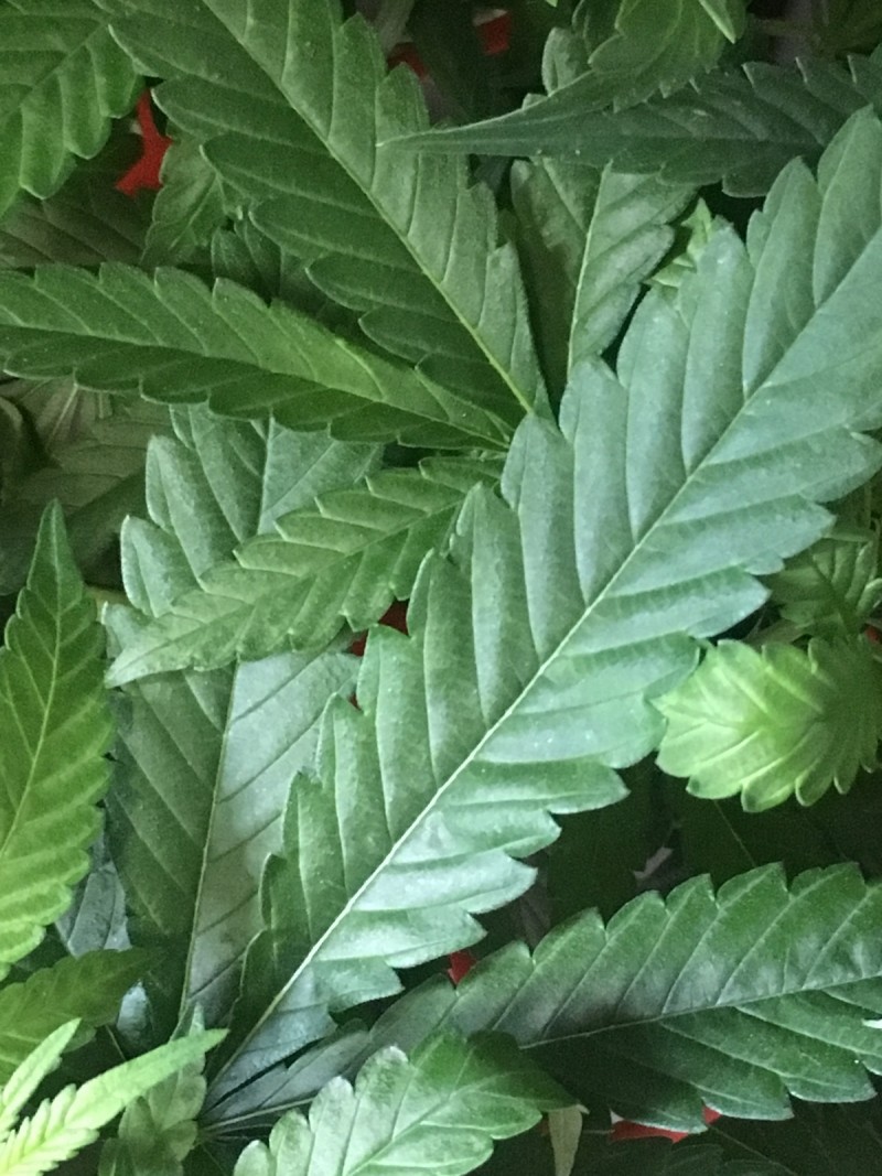 2607E7A5-7986-4373-B834-D0AB66384E24