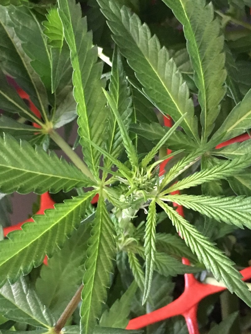 FFCA5496-6D18-406B-99C1-85E000EA7F02