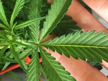 737FDA8F-65DC-4300-8C7C-6F5C72D866ED