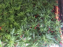 6BA389F3-4498-4B89-A5BB-53A281DAFBBF