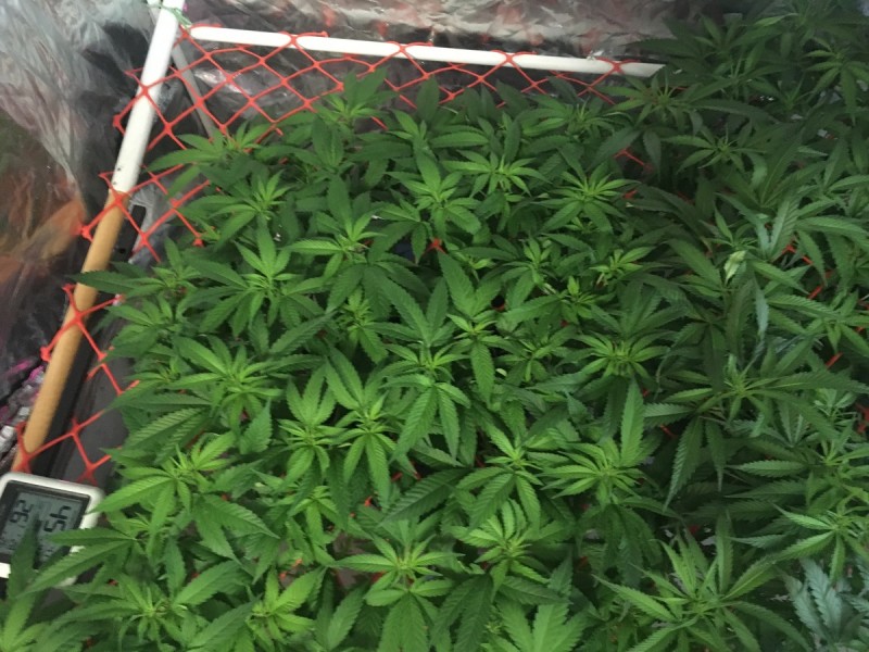 7C23834F-2B0A-4AA9-9991-9D589D1E3006