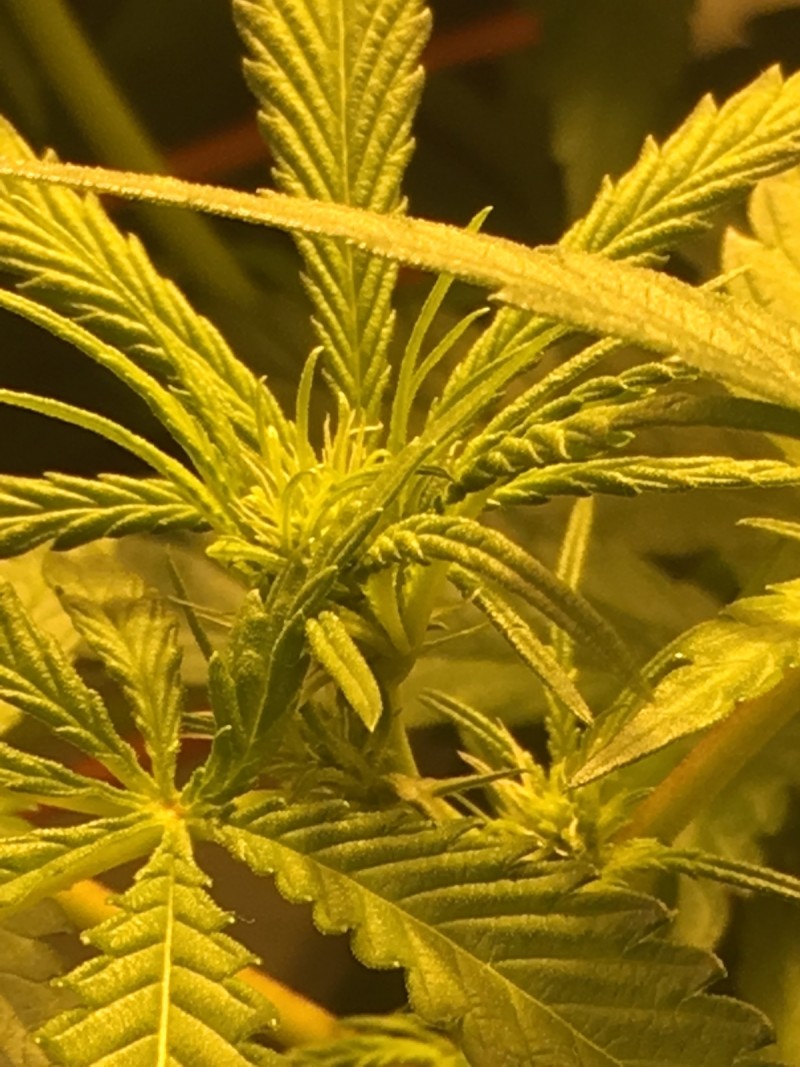 BB125319-B867-4877-9649-32579B0BB89D